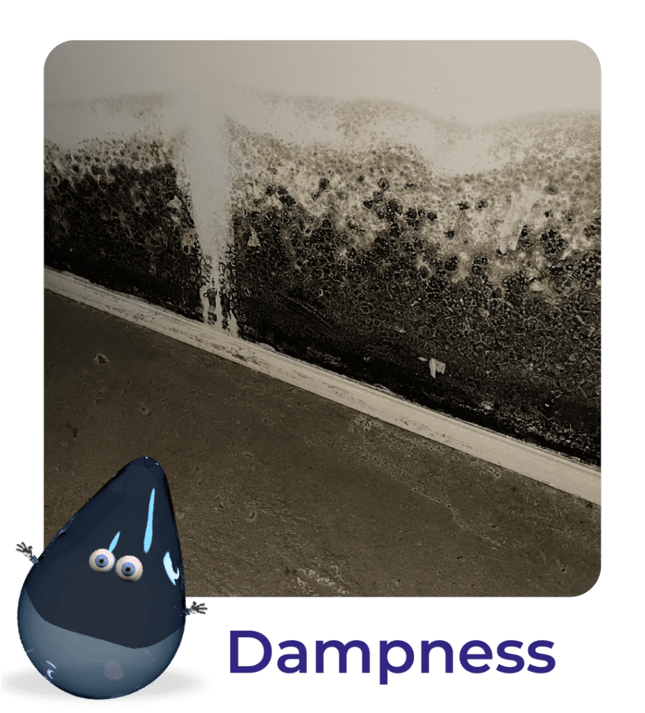 Dampness